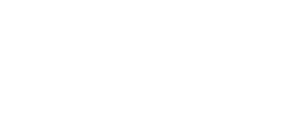 NWO IT Services